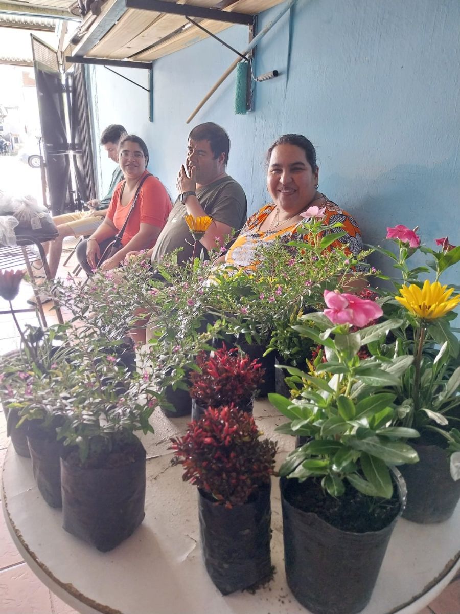 Los integrantes de la asociación venden plantines, entre otros productos para poder subsistir.
